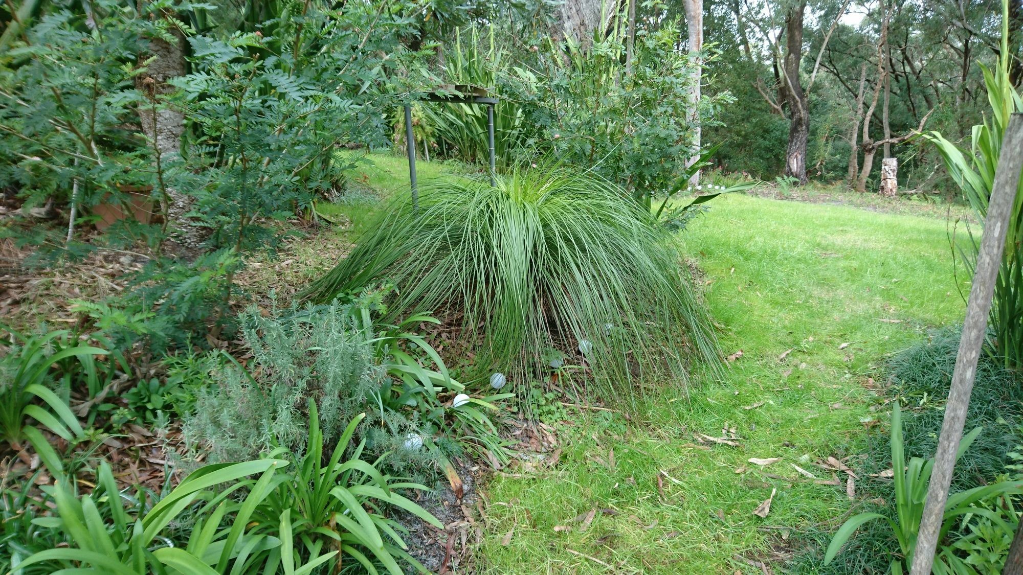Nelson Bay Bed & Breakfast Exterior photo