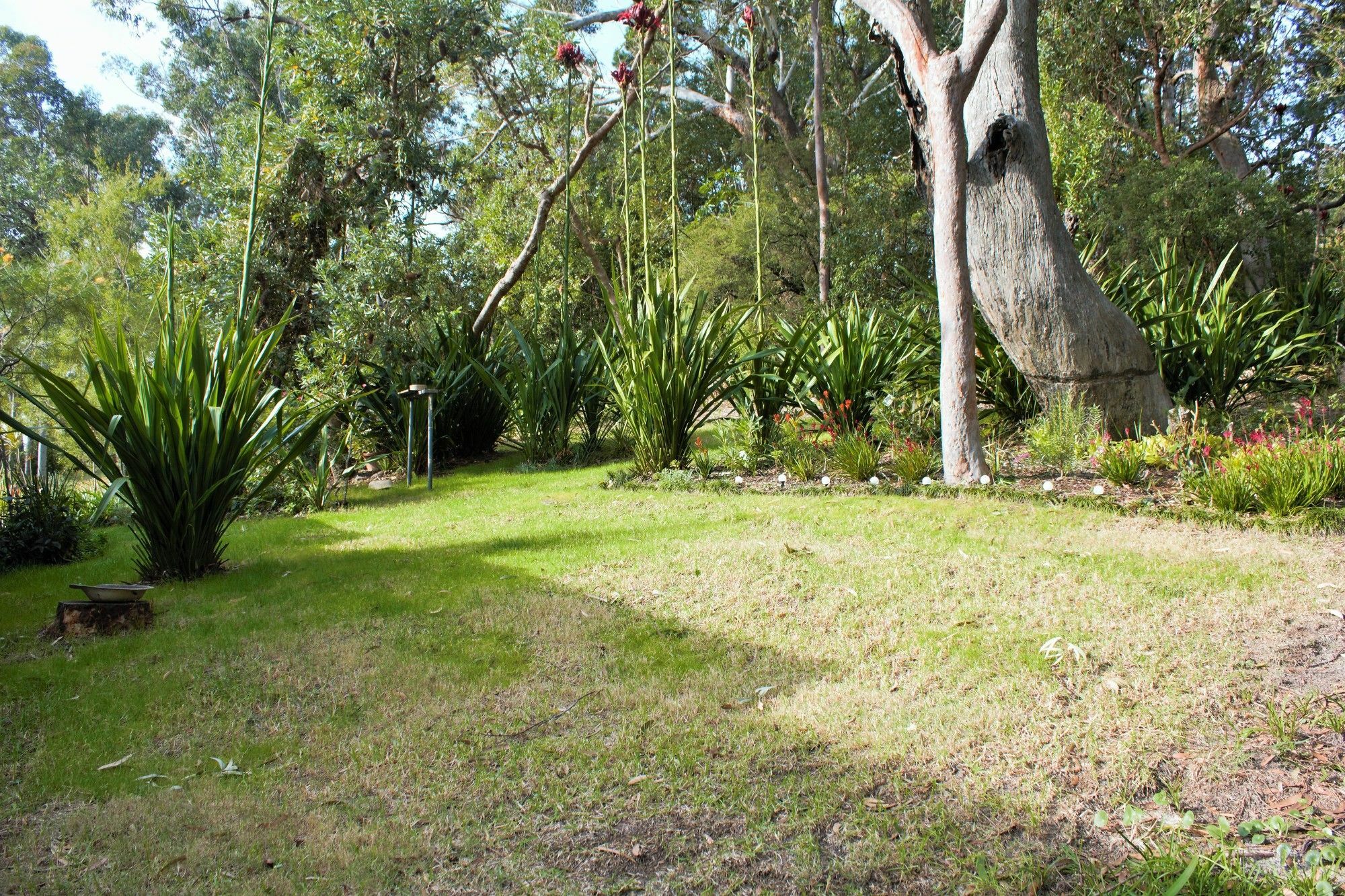Nelson Bay Bed & Breakfast Exterior photo